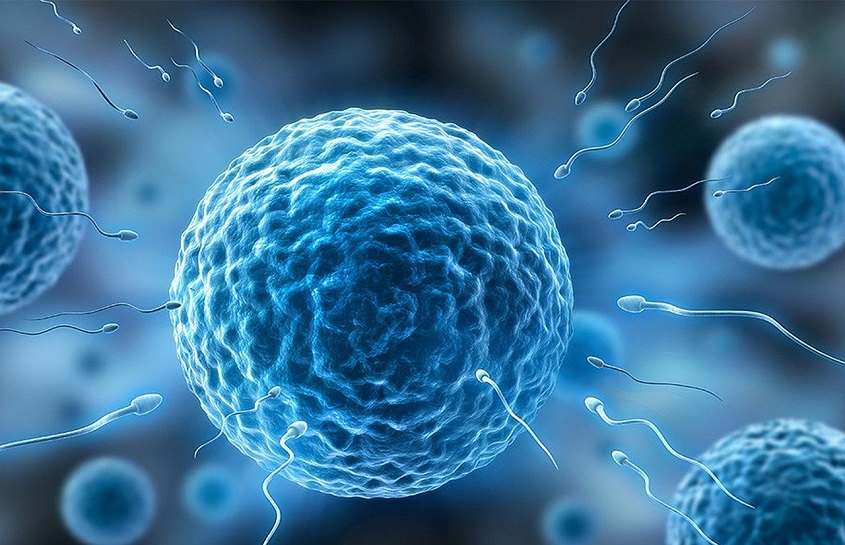 What You Need to Know About Intracytoplasmic Sperm Injection